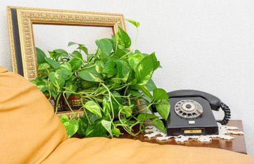 La Vecchia Posta - Foto 7