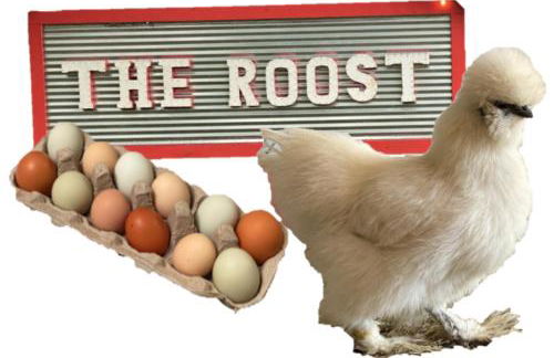 Cabin 5 The Roost Cabins - Foto 7