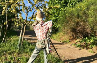 Podere La Fausta - Foto 25