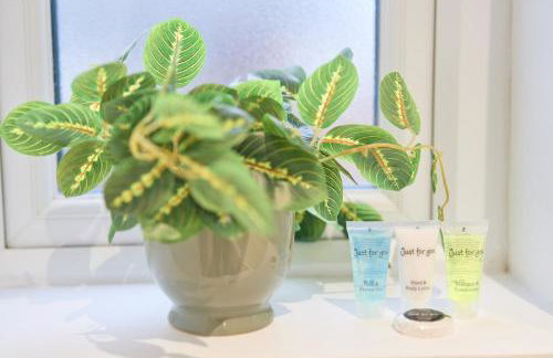 Jubilee View - New! Luxurious Home, Parking Wi-Fi - Foto 23