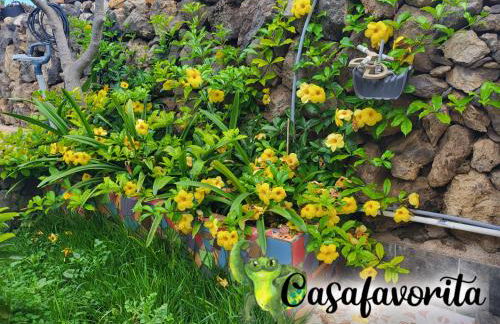 Casafavorita - Meer- und Teideblick für Zwei - Foto 36