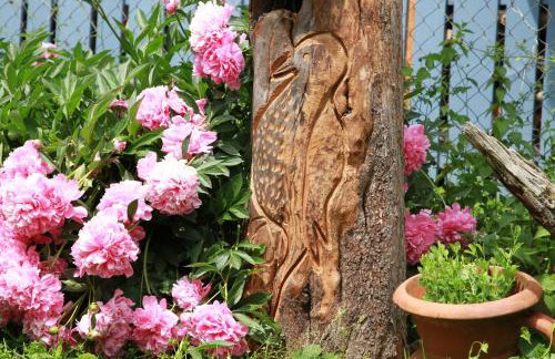 Zum Torfstecher - Photo 16