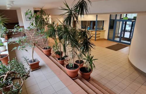 Apartament B & S - Free Garage Parking - Foto 39