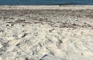 Strandhaus JP - Foto 20