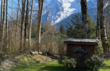 Whitehorse Mountain Retreat - Hot tub - Fireplace - Foto 41