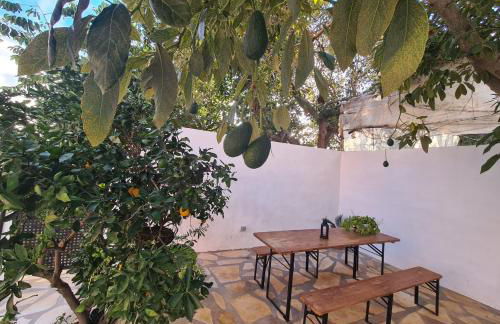 La Casita de Madera - Foto 12