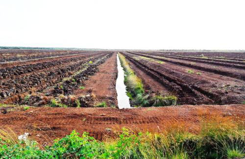 Ferienwohnung Uchte - Photo 60