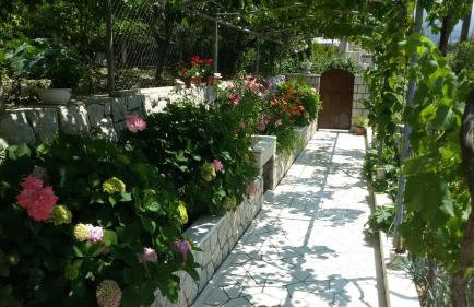 Villa Silvija - Foto 31