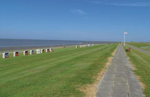 Strandläufer - Foto 19