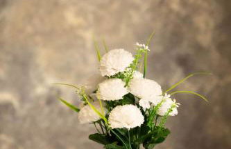 Los Soportales-Casa historica siglo XVI a 20 minutos de Puy du Fou - Foto 10