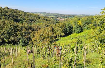 Holiday Home Medimurski Ceker - Foto 56