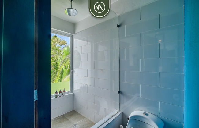 La Japihua in Jalisco - Foto 30