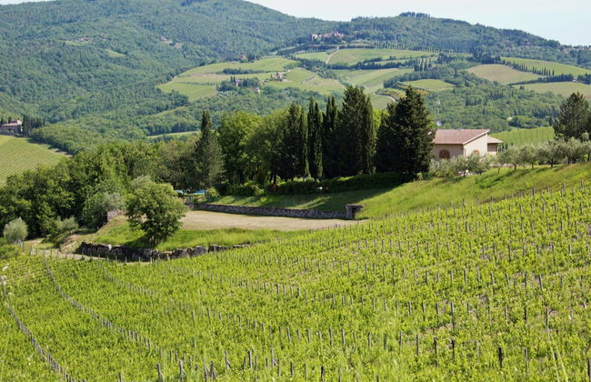 Pretty Farmhouse With Terrace - Foto 38