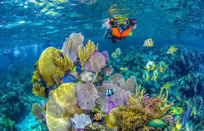 Paradise Awaits in This Seaside Escape! - Foto 14