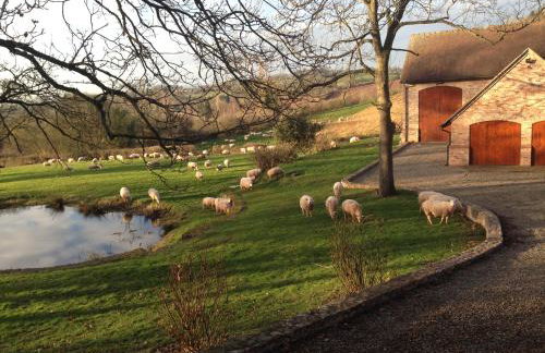 The Motor House - Foto 1