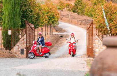 San Carlo a La Molinella - Photo 11