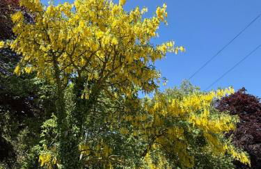 Highland Hideaway - Photo 79