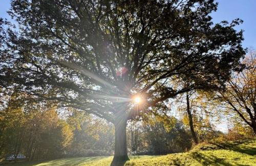 Frankenberg-am-Wald Frankenberg an der Eder - Foto 42