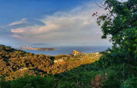 La Casetta nel Bosco - Photo 28