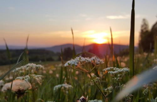 Ferienhaus Am Kirchberg - Foto 24