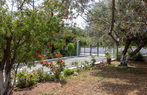 SEA & OLIVES HOUSE - Photo 41