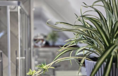 Ole Butt Cottage - Foto 15