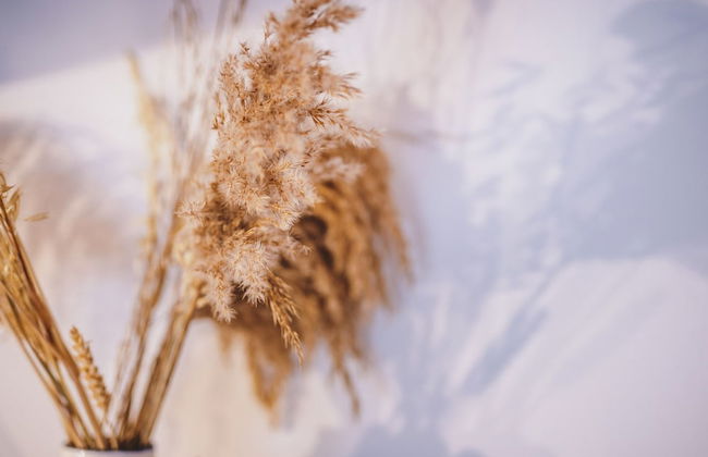 Appartements Enzian by we rent - Foto 20