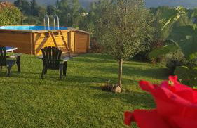 Casa la Pineta - Photo 17