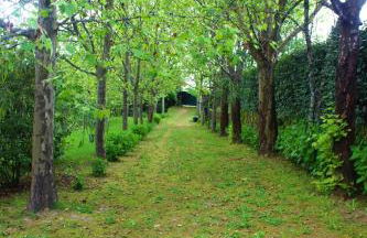 Quinta da Lapa do Gato - Foto 40