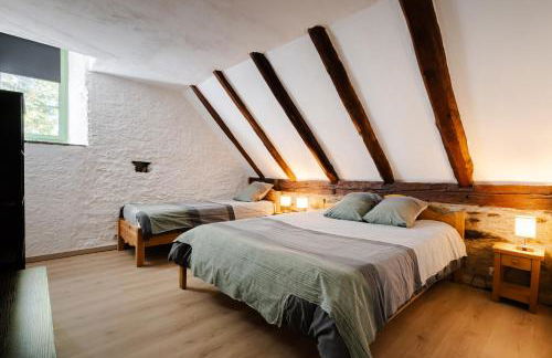 grange rénovée en gîte/maison/chalet - Foto 29