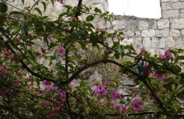 Apartments Seka - Foto 61