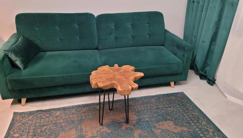 Apartament Walendów Park - Foto 2