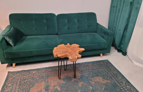 Apartament Walendów Park - Foto 2