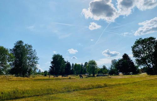 Ferienwohnung Morgensonne - Foto 18