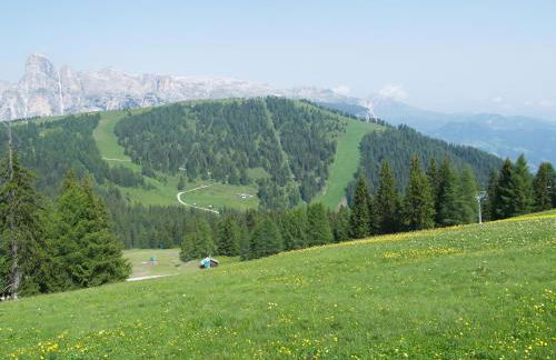 Residence Vajolet San Cassiano - Photo 40