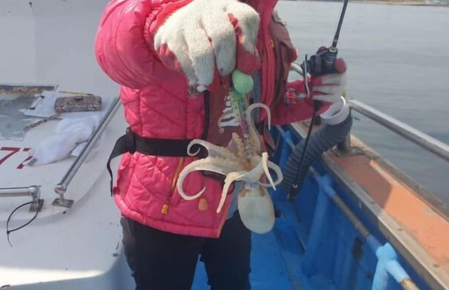 Anmyeondo In You Pension - Foto 61