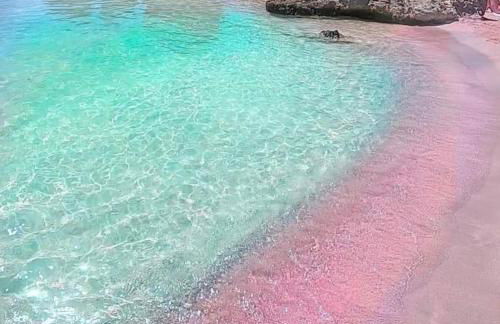 Pink Sand Villas - Foto 44