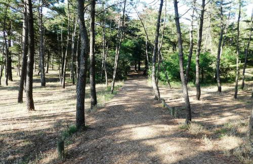 Les Sables superbe T3 cadre unique 7mn à pied de la mer - Foto 6