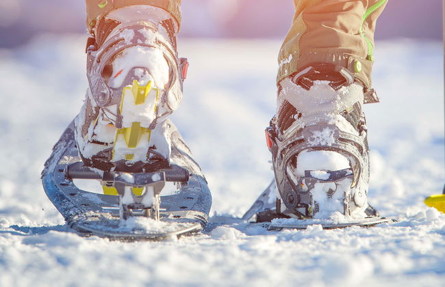Paseo con raquetas de nieve por Valle de Lago - Foto 4