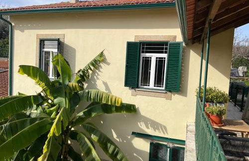 Manor Meeder - Foto 1