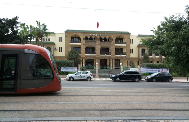 La Palette - Photo 6