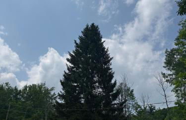 Luxury Mountain Villa - 3 bedroom, hot-tub, fire-pit - Foto 8