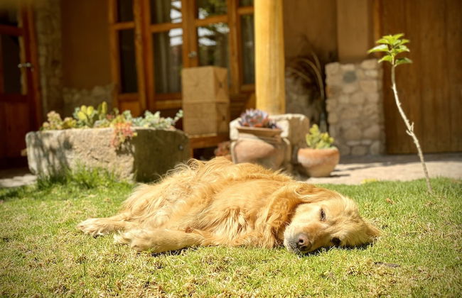 URUHome Cusco - Foto 52