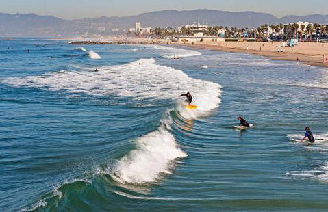 The tulip Marina Highrise with ocean view - Foto 70