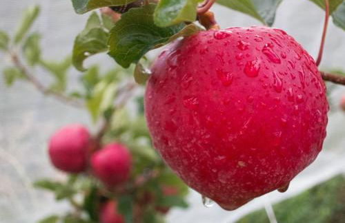 Casa Rural Rebost - Foto 41