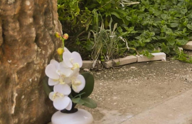 Rajko - 40 m From Beach - A1 - Foto 17