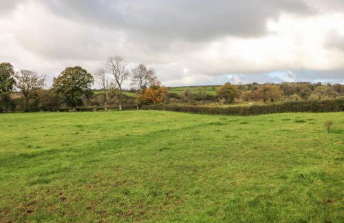 Pensarngerrig - Photo 26