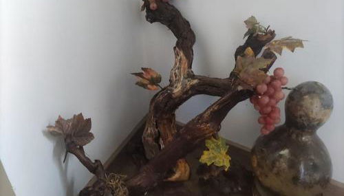 Casa do Trovão - Douro - Foto 2