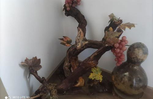 Casa do Trovão - Douro - Foto 2