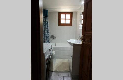 Village View - Photo 13